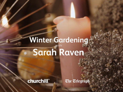 Churchill Insurance – Winter Gardening Tips